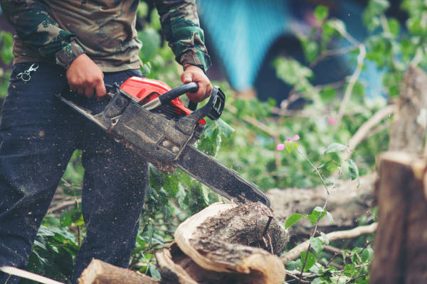 Tree service worker cutting a fallen tree with a chainsaw during cleanup work.
