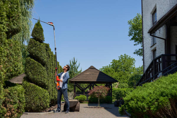 residential-tree-pruning-service-tyler-texas Worker using pole saw to prune tall trees in a residential property in East Texas.